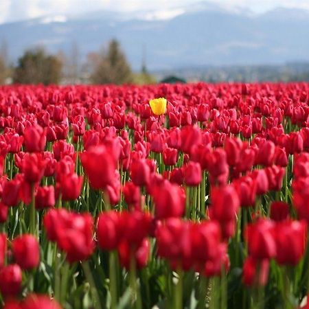 Red Tulip Hotel Angeles Kültér fotó